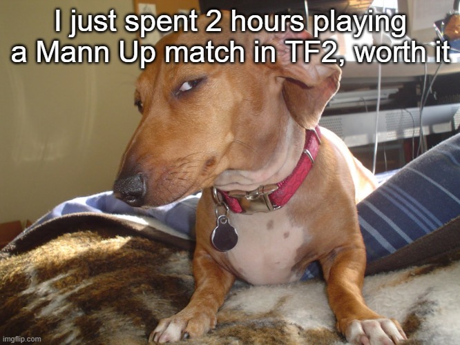 Suspicious Dog | I just spent 2 hours playing a Mann Up match in TF2, worth it | made w/ Imgflip meme maker