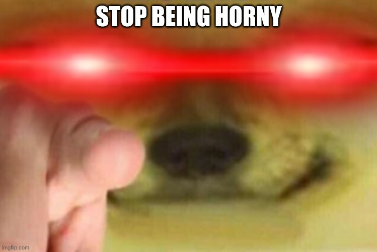 stop | STOP BEING HORNY | image tagged in cheems | made w/ Imgflip meme maker