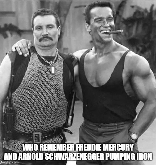 true bromance | WHO REMEMBER FREDDIE MERCURY AND ARNOLD SCHWARZENEGGER PUMPING IRON | image tagged in arnold schwarzenegger,freddie mercury,weight lifting,movie,tv,funny af | made w/ Imgflip meme maker