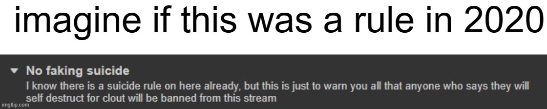 half the stream would be banned ? | imagine if this was a rule in 2020 | made w/ Imgflip meme maker
