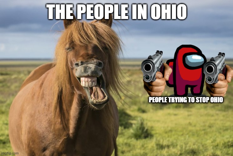 THE PEOPLE IN OHIO; PEOPLE TRYING TO STOP OHIO | image tagged in ohio | made w/ Imgflip meme maker