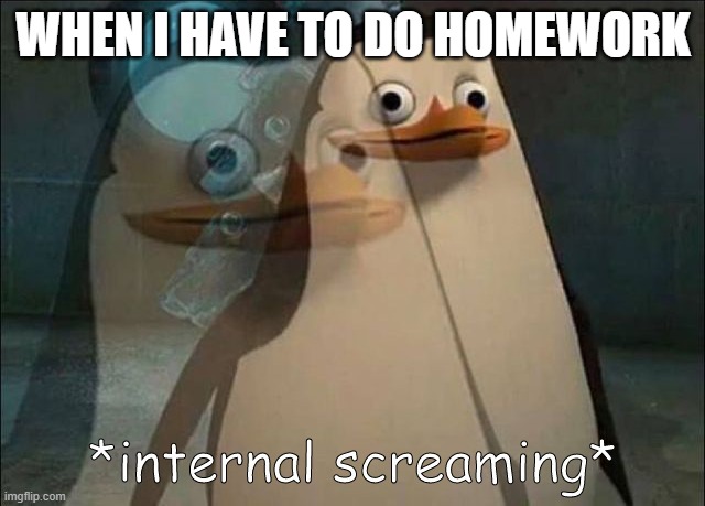 Private Internal Screaming | WHEN I HAVE TO DO HOMEWORK | image tagged in private internal screaming | made w/ Imgflip meme maker