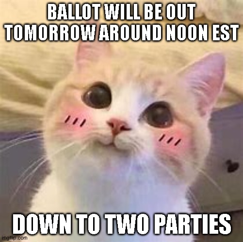 Voting will be epic | BALLOT WILL BE OUT TOMORROW AROUND NOON EST; DOWN TO TWO PARTIES | image tagged in uwu cat | made w/ Imgflip meme maker