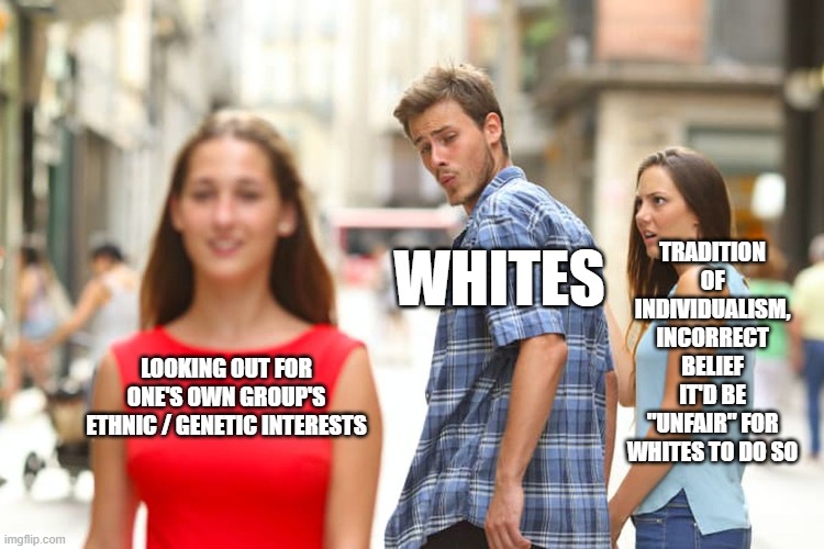 and lunacy of Nazism used to demonize any group identity or talk of group diff's | TRADITION OF INDIVIDUALISM, INCORRECT BELIEF IT'D BE "UNFAIR" FOR WHITES TO DO SO; WHITES; LOOKING OUT FOR ONE'S OWN GROUP'S ETHNIC / GENETIC INTERESTS | image tagged in memes,distracted boyfriend | made w/ Imgflip meme maker