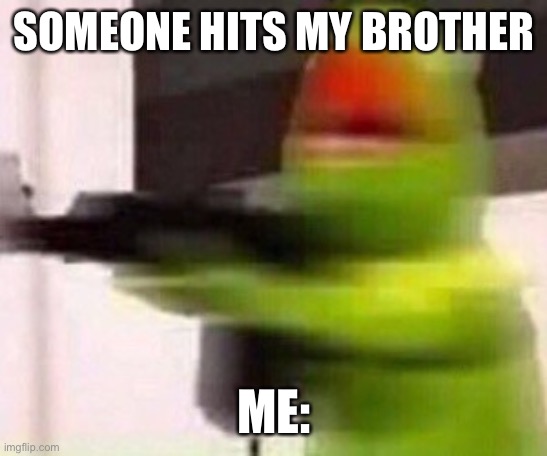 Don’t touch him | SOMEONE HITS MY BROTHER; ME: | image tagged in school shooter muppet | made w/ Imgflip meme maker