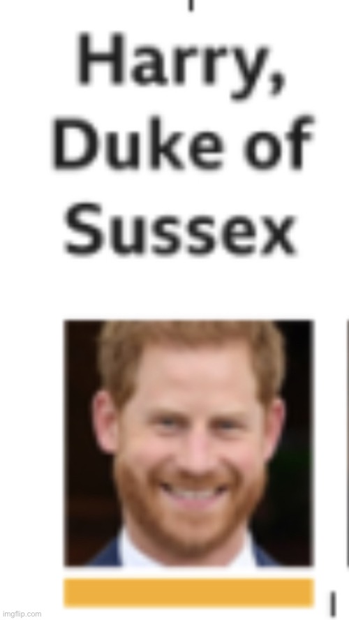 Harry, Duke of Sussex | image tagged in harry duke of sussex | made w/ Imgflip meme maker