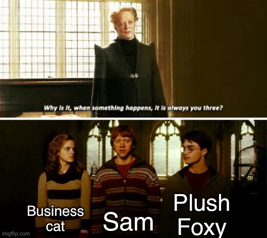 Yes, Sam gets into some wacky antics too- | Plush Foxy; Business cat; Sam | image tagged in always you three | made w/ Imgflip meme maker