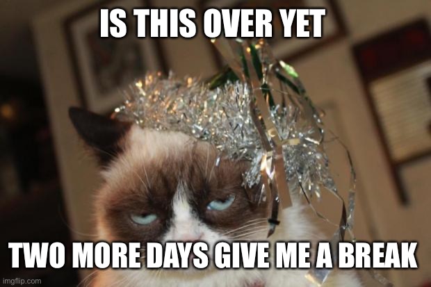 Grumpy Cat New Years |  IS THIS OVER YET; TWO MORE DAYS GIVE ME A BREAK | image tagged in grumpy cat new years | made w/ Imgflip meme maker