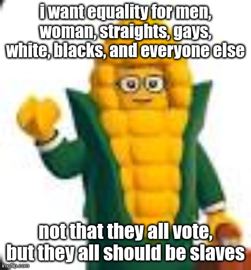 solomon fleck | i want equality for men, woman, straights, gays, white, blacks, and everyone else; not that they all vote, but they all should be slaves | image tagged in solomon fleck | made w/ Imgflip meme maker