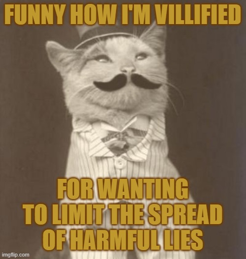 Moustache cat posh | FUNNY HOW I'M VILLIFIED FOR WANTING TO LIMIT THE SPREAD OF HARMFUL LIES | image tagged in moustache cat posh | made w/ Imgflip meme maker