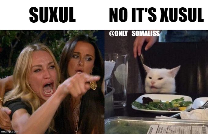 Only_somaliss | SUXUL; NO IT'S XUSUL; @ONLY_SOMALISS | image tagged in memes,woman yelling at cat | made w/ Imgflip meme maker