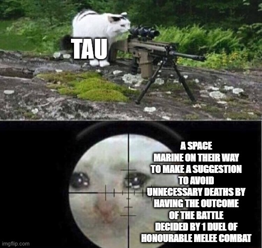 this is a joke. don't kill me | TAU; A SPACE MARINE ON THEIR WAY TO MAKE A SUGGESTION TO AVOID UNNECESSARY DEATHS BY HAVING THE OUTCOME OF THE BATTLE DECIDED BY 1 DUEL OF HONOURABLE MELEE COMBAT | image tagged in sniper cat | made w/ Imgflip meme maker