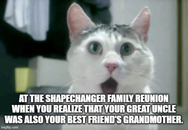 OMG Cat | AT THE SHAPECHANGER FAMILY REUNION WHEN YOU REALIZE THAT YOUR GREAT UNCLE WAS ALSO YOUR BEST FRIEND'S GRANDMOTHER. | image tagged in memes,omg cat | made w/ Imgflip meme maker