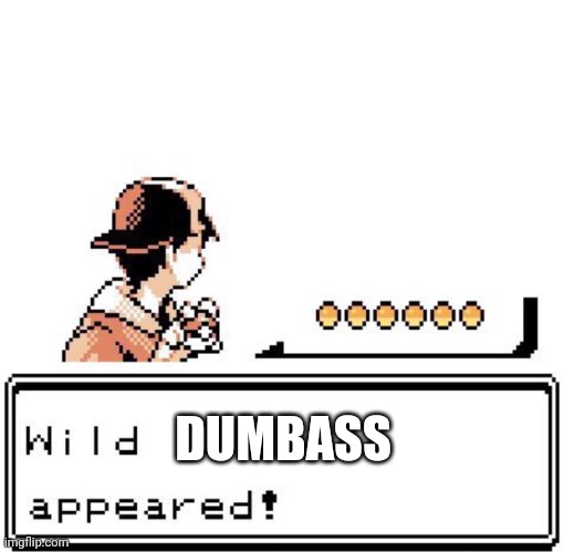 Blank Wild Pokemon Appears | DUMBASS | image tagged in blank wild pokemon appears | made w/ Imgflip meme maker