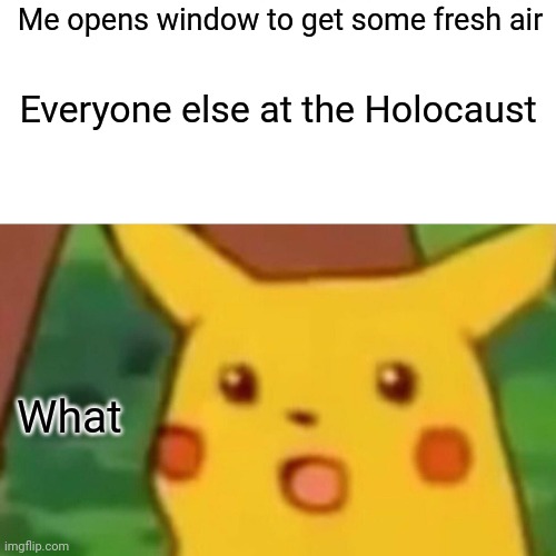 Surprised Pikachu | Me opens window to get some fresh air; Everyone else at the Holocaust; What | image tagged in memes,surprised pikachu | made w/ Imgflip meme maker