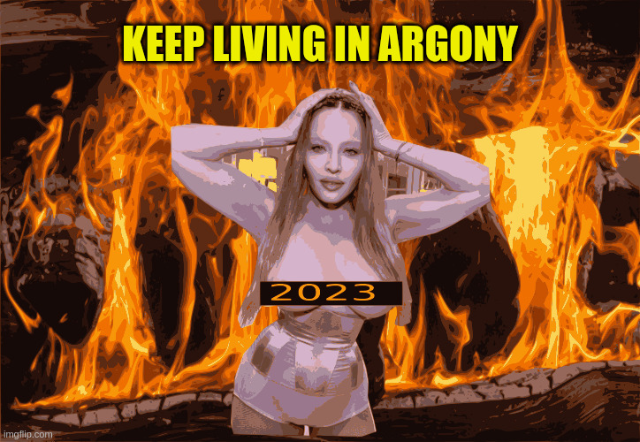 Madonna presents 2023 | KEEP LIVING IN ARGONY | image tagged in madonna,2023,lol so funny,happy new year | made w/ Imgflip meme maker