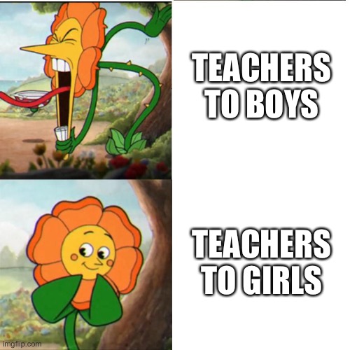 Cuphead Flower | TEACHERS TO BOYS; TEACHERS TO GIRLS | image tagged in cuphead flower | made w/ Imgflip meme maker