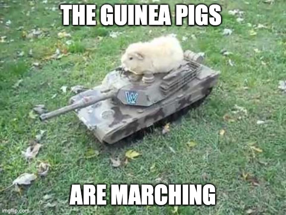 the guinea pigs are marching Blank Meme Template