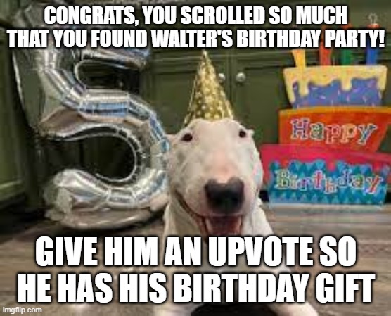 happy birthday Walter! | CONGRATS, YOU SCROLLED SO MUCH THAT YOU FOUND WALTER'S BIRTHDAY PARTY! GIVE HIM AN UPVOTE SO HE HAS HIS BIRTHDAY GIFT | image tagged in walter,happy birthday | made w/ Imgflip meme maker