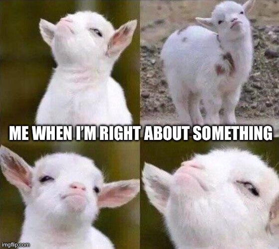 Smug Goat | ME WHEN I’M RIGHT ABOUT SOMETHING | image tagged in smug goat | made w/ Imgflip meme maker