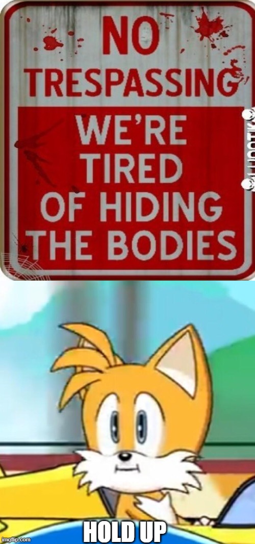 STOP HIDING BODIES>:[ | HOLD UP | image tagged in tails hold up | made w/ Imgflip meme maker