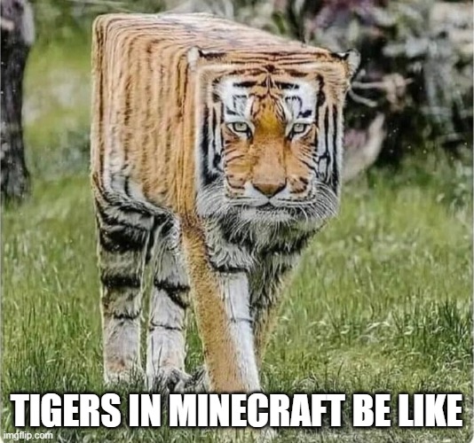 if minecraft added tigers in the game | TIGERS IN MINECRAFT BE LIKE | image tagged in minecraft | made w/ Imgflip meme maker