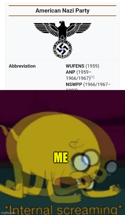 American Nazis... FUCK NO!!! | ME | image tagged in jake the dog internal screaming | made w/ Imgflip meme maker