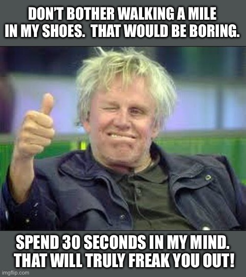 Busey | DON’T BOTHER WALKING A MILE IN MY SHOES.  THAT WOULD BE BORING. SPEND 30 SECONDS IN MY MIND.  THAT WILL TRULY FREAK YOU OUT! | image tagged in gary busey approves | made w/ Imgflip meme maker