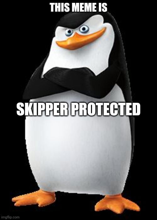 Skipper | THIS MEME IS SKIPPER PROTECTED | image tagged in skipper | made w/ Imgflip meme maker
