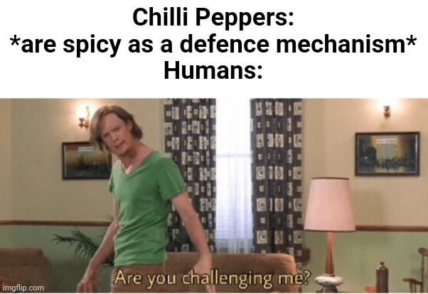 Silly humans | Chilli Peppers: *are spicy as a defence mechanism*
Humans: | image tagged in are you challenging me,chilli | made w/ Imgflip meme maker