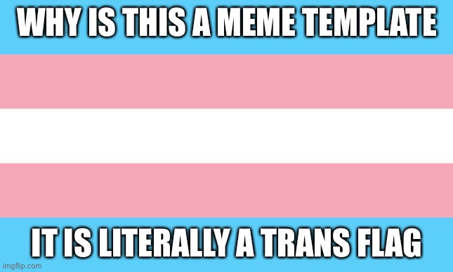 Seriously wtf? | WHY IS THIS A MEME TEMPLATE; IT IS LITERALLY A TRANS FLAG | image tagged in trans flag | made w/ Imgflip meme maker