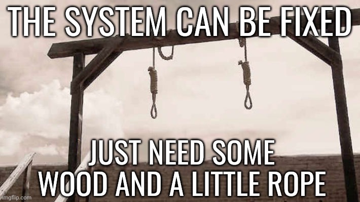 It can be fixed. | THE SYSTEM CAN BE FIXED; JUST NEED SOME WOOD AND A LITTLE ROPE | image tagged in gallows | made w/ Imgflip meme maker