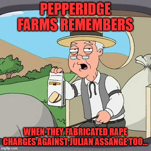 Pepperidge Farm Remembers Meme | PEPPERIDGE FARMS REMEMBERS WHEN THEY FABRICATED RAPE CHARGES AGAINST JULIAN ASSANGE TOO... | image tagged in memes,pepperidge farm remembers | made w/ Imgflip meme maker