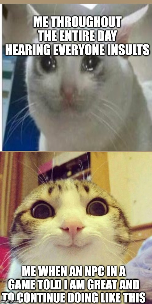 Smiling Cat Meme | ME THROUGHOUT THE ENTIRE DAY HEARING EVERYONE INSULTS; ME WHEN AN NPC IN A GAME TOLD I AM GREAT AND TO CONTINUE DOING LIKE THIS | image tagged in memes,smiling cat | made w/ Imgflip meme maker