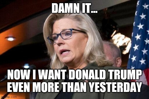 Liz Cheney | DAMN IT... NOW I WANT DONALD TRUMP EVEN MORE THAN YESTERDAY | image tagged in liz cheney | made w/ Imgflip meme maker