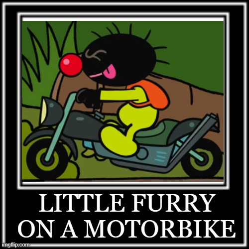 LITTLE FURRY ON A MOTORBIKE | made w/ Imgflip meme maker