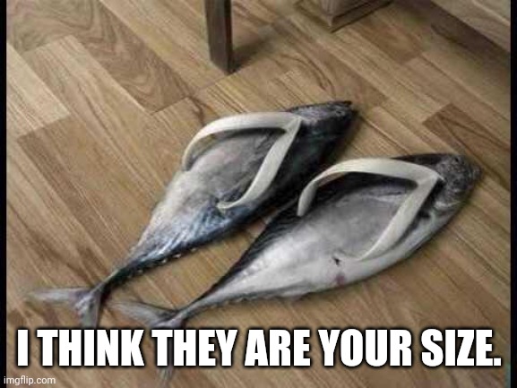 Fish Flops | I THINK THEY ARE YOUR SIZE. | image tagged in fish flops | made w/ Imgflip meme maker