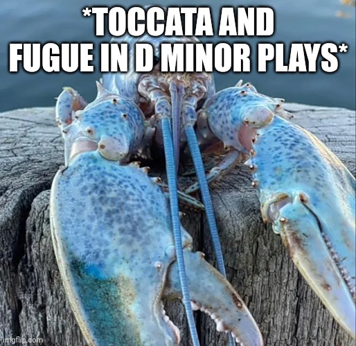 The Blue Lobster | *TOCCATA AND FUGUE IN D MINOR PLAYS* | image tagged in the blue lobster | made w/ Imgflip meme maker