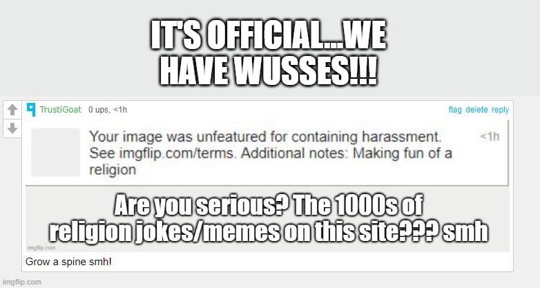 Seriously? | IT'S OFFICIAL...WE HAVE WUSSES!!! | image tagged in moderation system | made w/ Imgflip meme maker