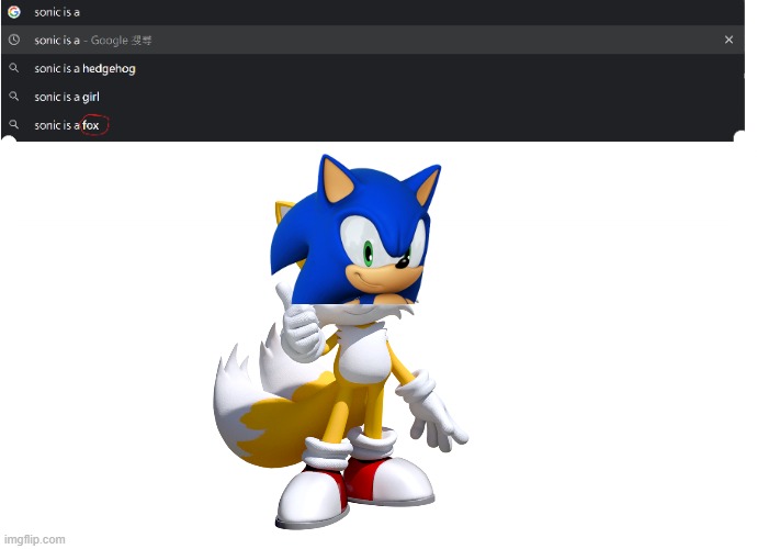 sonic the fox | image tagged in sonic is a | made w/ Imgflip meme maker