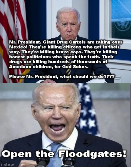 Joe Biden Opens The Floodgates | OPEN THE FLOODGATES! MR PRESIDENT. GIANT DRUG CARTELS ARE TAKING OVER MEXICO! THEY'RE KILLING CITIZENS WHO GET IN THEIR WAY. THEY'RE KILLING BRAVE COPS. THEY'RE KILLING HONEST POLITICIANS WHO SPEAK THE TRUTH. THEIR DRUGS ARE KILLING HUNDREDS OF THOUSANDS OF AMERICAN CHILDREN, FOR GOD SAKES.
PLEASE MR. PRESIDENT, WHAT SHOULD WE DO???? | image tagged in illegal immigration,joe biden,open borders | made w/ Imgflip meme maker