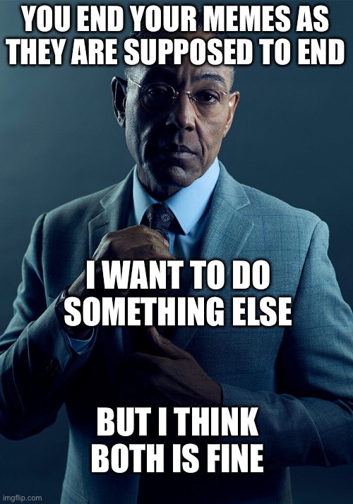Gus Fring we are not the same | YOU END YOUR MEMES AS THEY ARE SUPPOSED TO END; I WANT TO DO SOMETHING ELSE; BUT I THINK BOTH IS FINE | image tagged in gus fring we are not the same | made w/ Imgflip meme maker