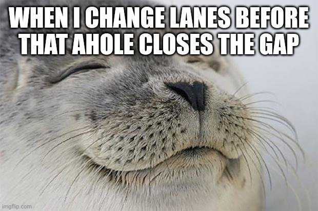 Lane change | WHEN I CHANGE LANES BEFORE THAT AHOLE CLOSES THE GAP | image tagged in memes,satisfied seal | made w/ Imgflip meme maker