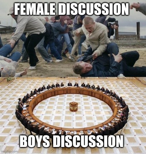 Men Discussing Men Fighting | FEMALE DISCUSSION BOYS DISCUSSION | image tagged in men discussing men fighting | made w/ Imgflip meme maker
