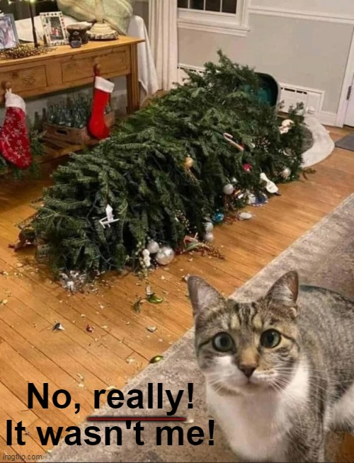 Cat Splaining | No, really! It wasn't me! _____ | image tagged in fun,funny cat,cute cats,christmas tree,catsplaining,wholesome content | made w/ Imgflip meme maker