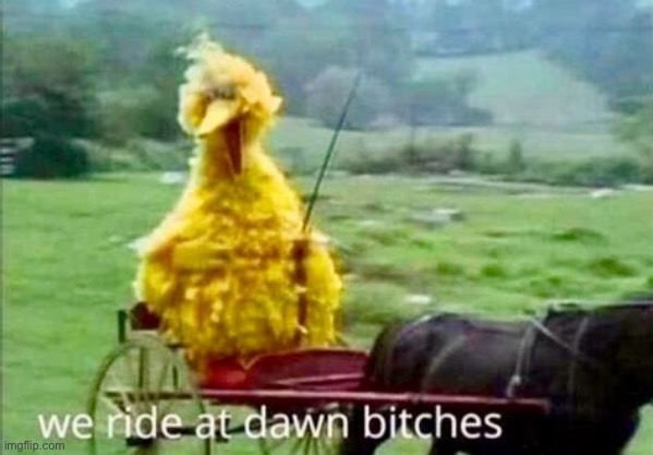 Big Bird | image tagged in big bird | made w/ Imgflip meme maker