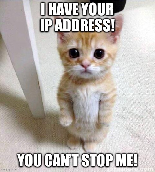 Cute Cat Meme | I HAVE YOUR IP ADDRESS! YOU CAN’T STOP ME! | image tagged in memes,cute cat | made w/ Imgflip meme maker