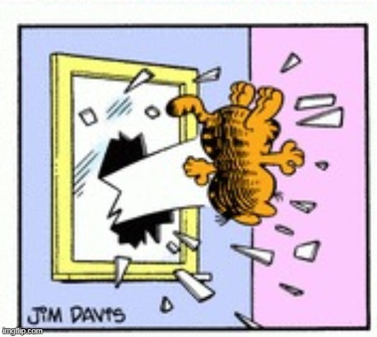 ok so this weird template of garfield falling out a window i made called "garfield dies" | image tagged in garfield dies,garfield falls out a window | made w/ Imgflip meme maker