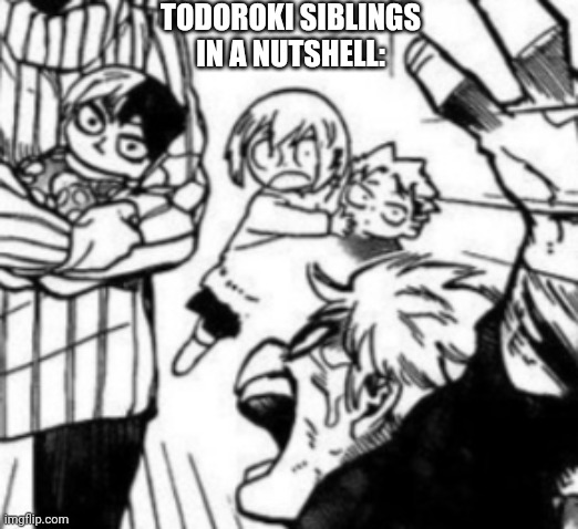 Todoroki siblings in a nutshell | TODOROKI SIBLINGS IN A NUTSHELL: | image tagged in todoroki siblings in a nutshell | made w/ Imgflip meme maker