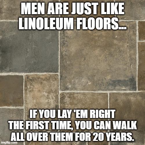 Advice for Women | MEN ARE JUST LIKE LINOLEUM FLOORS... IF YOU LAY 'EM RIGHT THE FIRST TIME, YOU CAN WALK ALL OVER THEM FOR 20 YEARS. | image tagged in linoleum | made w/ Imgflip meme maker